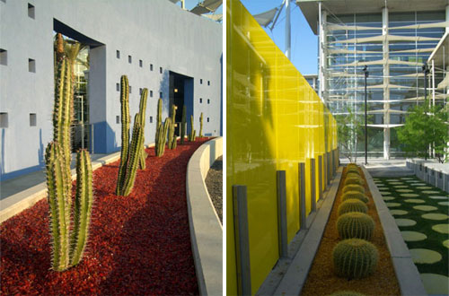 Photos: Shauna Gillies-Smith