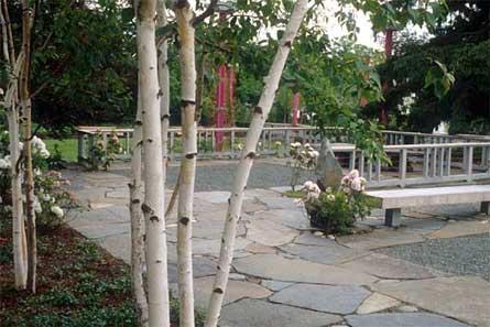 &copy; Dean Cardasis