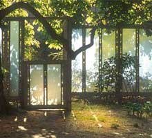 &copy; Dean Cardasis