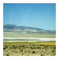 &copy; Krystal Chang