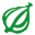 The Onion